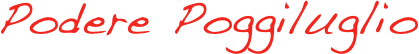Podere Poggiluglio